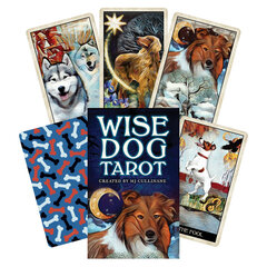 Taro kortos Wise Dog kaina ir informacija | Ezoterika | pigu.lt