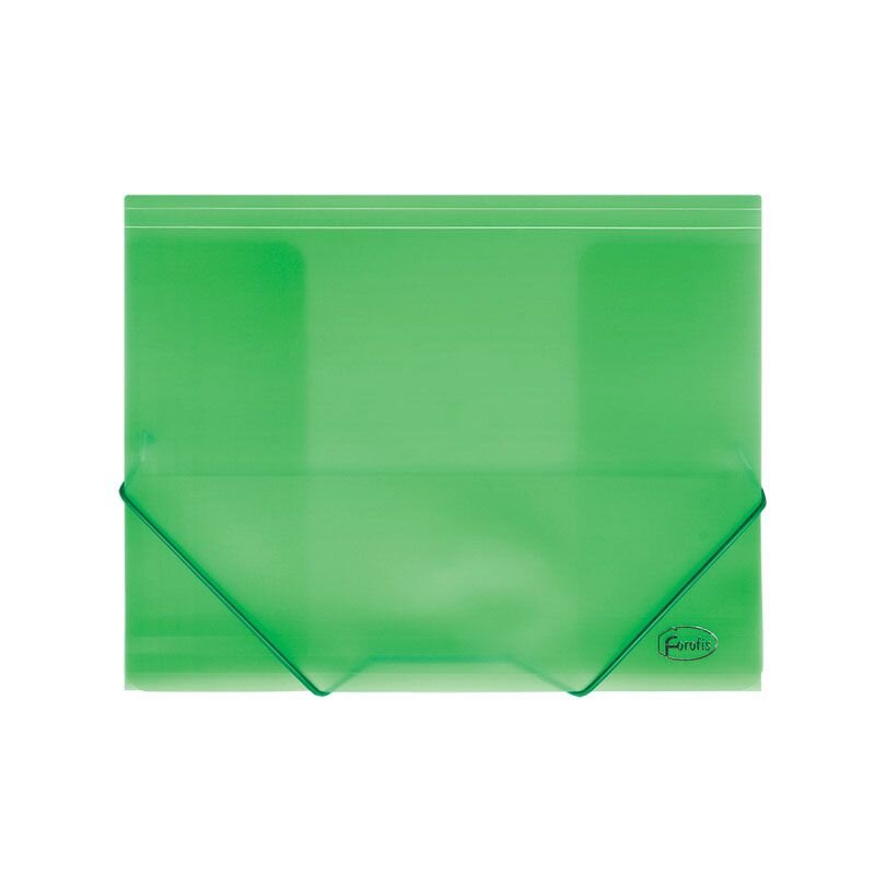 Aplankas su guma Forofis, skaidrus, plastikinis, A4, žalias kaina ir informacija | Kanceliarinės prekės | pigu.lt