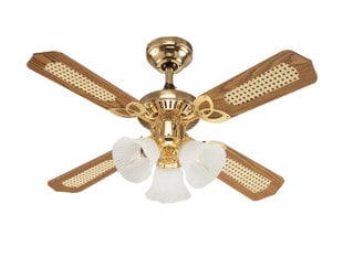 Westinghouse подвесная лампа - вентилятор Princess Zolto цена и информация | Светильники-вентиляторы | pigu.lt