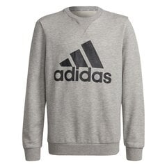 Džemperis mergaitėms Adidas, pilkas цена и информация | Свитеры, жилетки, пиджаки для девочек | pigu.lt