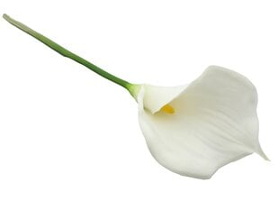 Искусственная калла цена и информация | Искусственные цветы | pigu.lt