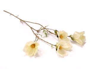 Magnolijos šakelė kaina ir informacija | Dirbtinės gėlės | pigu.lt