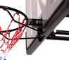Krepšinio lenta su lanku ir tinkliuku Bilaro Dakota 120x80 cm kaina ir informacija | Krepšinio lentos | pigu.lt