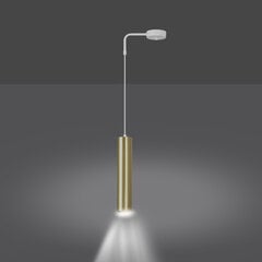 Emibig подвесной светильник Goldi 1 White/Gold цена и информация | Люстры | pigu.lt