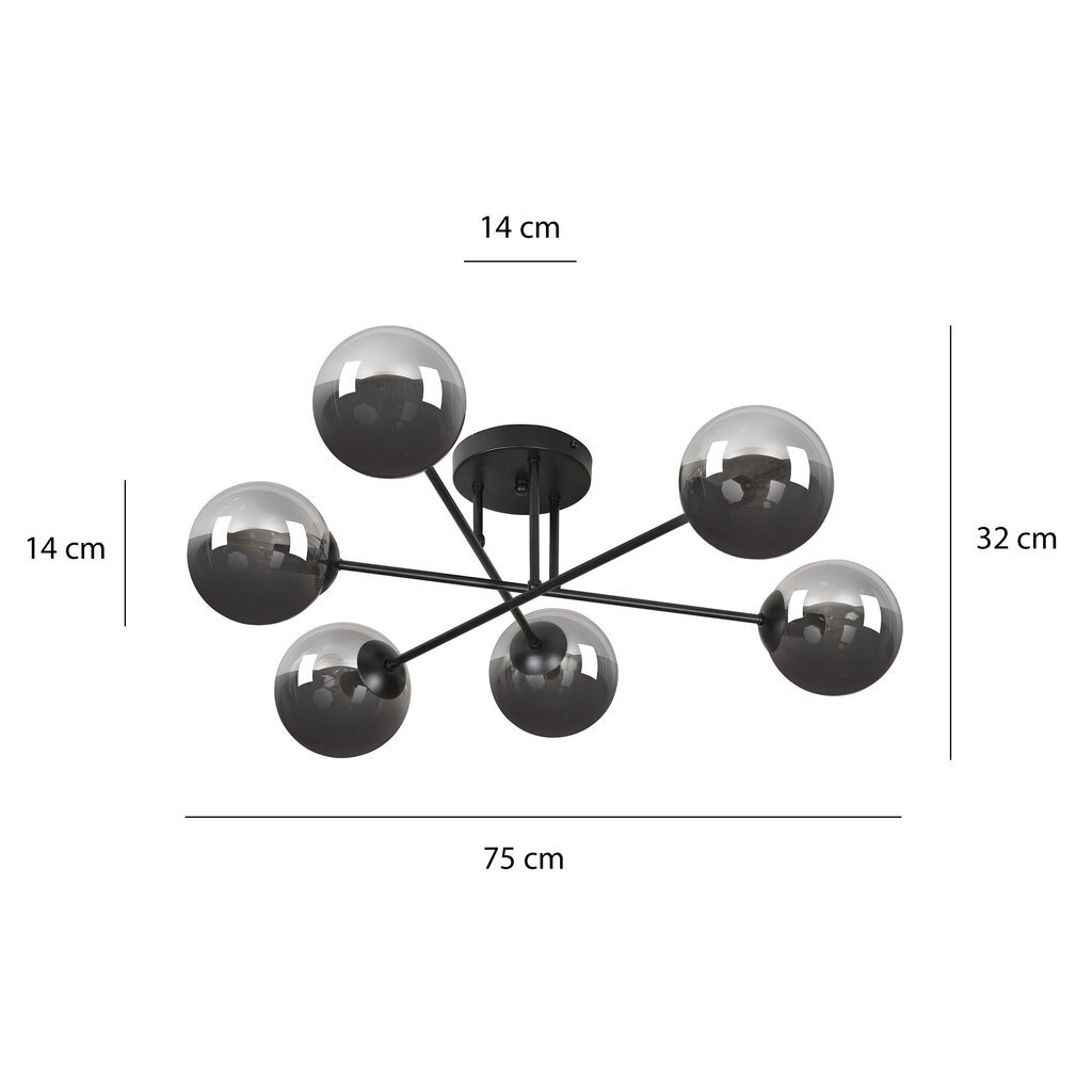 Emibig lubinis šviestuvas Brendi 6B Black/Graphite kaina ir informacija | Lubiniai šviestuvai | pigu.lt