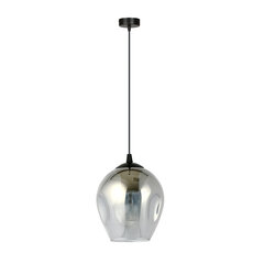 Emibig подвесной светильник Istar 1 BL/Grafit цена и информация | Люстры | pigu.lt