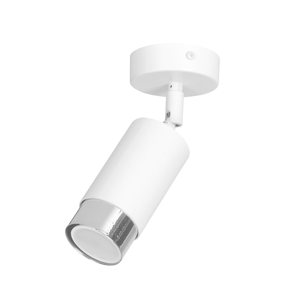 Emibig lubinis šviestuvas Hiro 1 White-Chrome kaina ir informacija | Lubiniai šviestuvai | pigu.lt