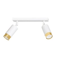 Emibig потолочный светильник Hiro 2 White-Gold цена и информация | Потолочные светильники | pigu.lt