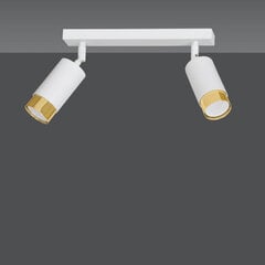 Emibig lubinis šviestuvas Hiro 2 White-Gold kaina ir informacija | Lubiniai šviestuvai | pigu.lt