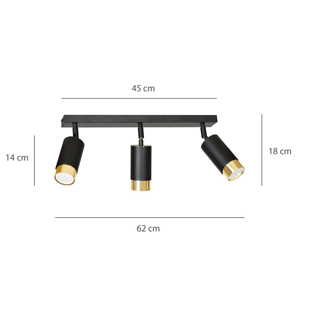 Emibig lubinis šviestuvas Hiro 3 Black-Gold цена и информация | Lubiniai šviestuvai | pigu.lt