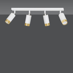 Emibig lubinis šviestuvas Hiro 4 White-Gold kaina ir informacija | Lubiniai šviestuvai | pigu.lt