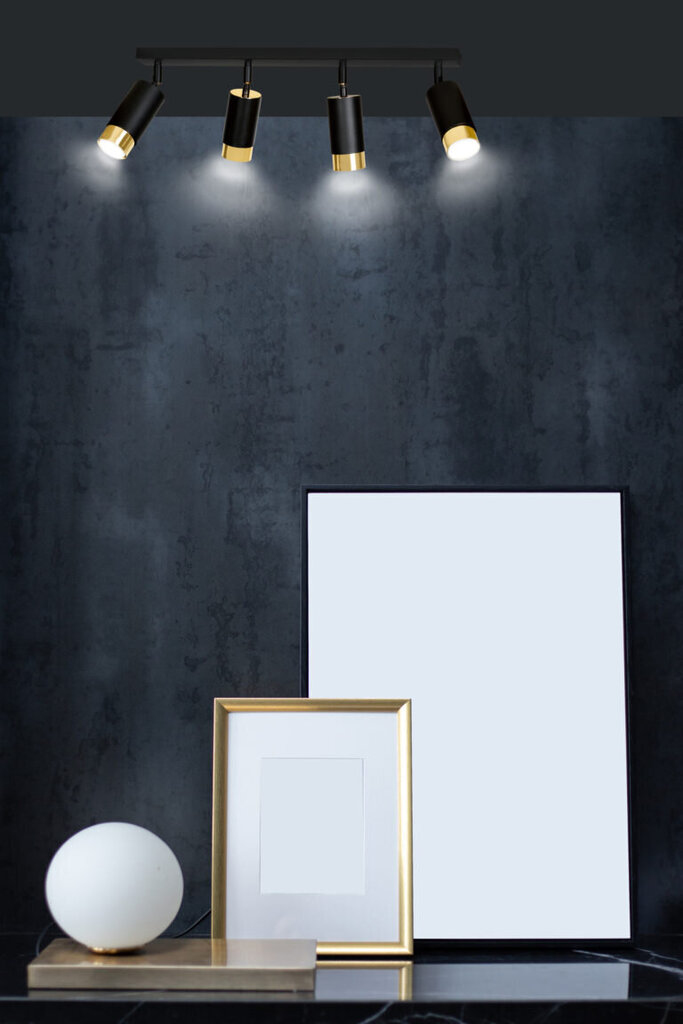 Emibig lubinis šviestuvas Hiro 4 Black-Gold цена и информация | Lubiniai šviestuvai | pigu.lt