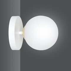 Emibig светильник Floki 1 White Gold цена и информация | Настенные светильники | pigu.lt