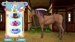 PS5 Bibi & Tina at the Horse Farm kaina ir informacija | Kompiuteriniai žaidimai | pigu.lt