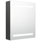 Veidrodinė vonios spintelė su LED apšvietimu, pilka kaina ir informacija | Vonios spintelės | pigu.lt