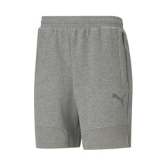 Спортивные шорты мужские Puma teamCup Casuals M 656750-33, серые цена и информация | Мужские термобрюки, темно-синие, SMA61007 | pigu.lt