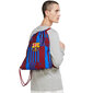 Batų maišelis Nike FCB Barcelona Stadium kaina ir informacija | Kuprinės ir krepšiai | pigu.lt