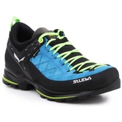 Походные ботинки для мужчин Salewa MS MTN Trainer 2 GTX цена и информация | Мужские ботинки | pigu.lt