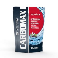 Angliavandenių kompleksas Activlab CarboMax Dynamic Black currant, 1000 g kaina ir informacija | Angliavandeniai | pigu.lt