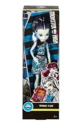 Lėlė Monster High Frankie Stein kaina ir informacija | Žaislai mergaitėms | pigu.lt