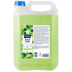 Mayeri skystas muilas Apple, 5 L kaina ir informacija | Muilai | pigu.lt