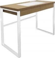 Письменный стол Intesi Dolem Industrial, коричневый / белый цена и информация | Компьютерные, письменные столы | pigu.lt