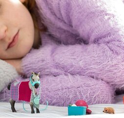 Schleich Horse Club Развлечения с жеребенком цена и информация | Игрушки для девочек | pigu.lt