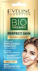 Маска для лица Eveline Perfect BIO Organic, 8 мл цена и информация | Маски для лица, патчи для глаз | pigu.lt