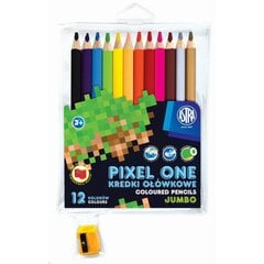 Spalvoti pieštukai Astra Pixel One, 12 vnt цена и информация | Принадлежности для рисования, лепки | pigu.lt