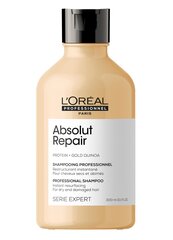 Atstatomasis plaukų šampūnas L'Oreal Professionnel Serie Expert Absolut Repair, 300 ml kaina ir informacija | Šampūnai | pigu.lt