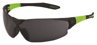 Защитные очки Ardon M4100 цена и информация | Защита для лица и головы | pigu.lt