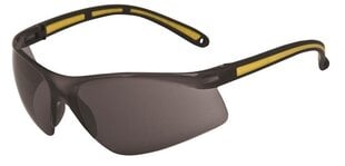 Защитные очки Ardon M8100 цена и информация | Защита для лица и головы | pigu.lt