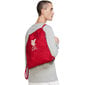 Nike LFC Stadium GMSK batų krepšys - FA21 raudonas DD1507 687 kaina ir informacija | Kuprinės ir krepšiai | pigu.lt