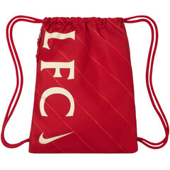 Nike Lfc Стадион Gmsk Сумка для обуви - FA21 Красный DD1507 687 цена и информация | Рюкзаки и сумки | pigu.lt