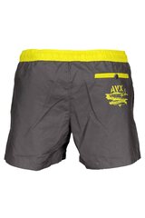 Мужские плавательные шорты Avx Avirex Dept AVBWBC01MEBE, серые цена и информация | Плавки, плавательные шорты | pigu.lt