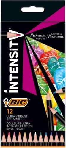Spalvoti pieštukai Intensity 12 spalvų rinkinys 951844 kaina ir informacija | Piešimo, tapybos, lipdymo reikmenys | pigu.lt