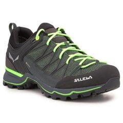 Походные ботинки для мужчин Salewa Ms Mtn Trainer Lite GTX цена и информация | Мужские кроссовки | pigu.lt