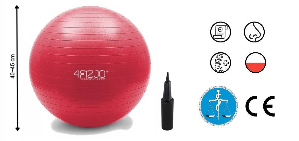 Gimnastikos pripučiamas kamuolys, 55cm kaina ir informacija | Gimnastikos kamuoliai | pigu.lt