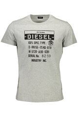 Футболка мужская Diesel, серая цена и информация | Мужские футболки | pigu.lt