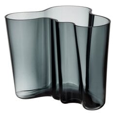 Iittala vaza Aalto 16 cm kaina ir informacija | Vazos | pigu.lt