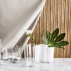 Tип B. Ваза Iittala Aalto 160 мм, ultramarine blue цена и информация | Вазы | pigu.lt