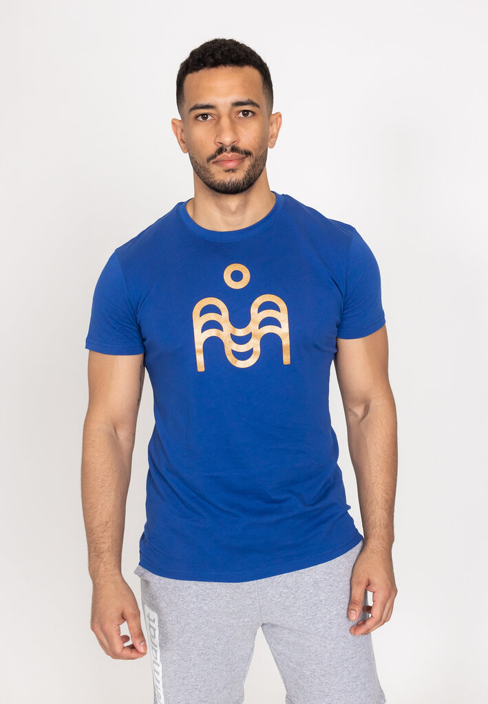 Marškinėliai su logotipu SMP24009, mėlyni kaina ir informacija | Vyriški marškinėliai | pigu.lt