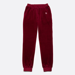 Мужские бархатные спортивные штаны, SMP61006 Красные цена и информация | Мужские брюки | pigu.lt