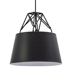 Pakabinamas šviestuvas Industrial Style, Black kaina ir informacija | Pakabinami šviestuvai | pigu.lt