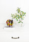 Aarikka vaza Kupla, 17 cm kaina ir informacija | Vazos | pigu.lt