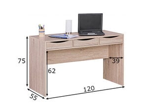 Письменный стол Samo III, сонома дуб  цена и информация | Компьютерные, письменные столы | pigu.lt
