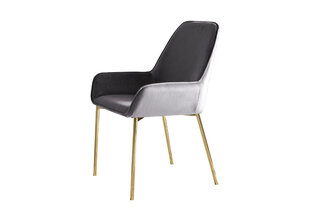 Kėdžių komplektas, 2 vnt., pilkos spalvos kaina ir informacija | Virtuvės ir valgomojo kėdės | pigu.lt