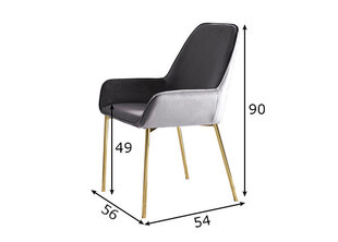 Kėdžių komplektas, 2 vnt., pilkos spalvos kaina ir informacija | Virtuvės ir valgomojo kėdės | pigu.lt