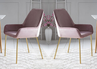 Kėdžių komplektas, 2 vnt., rožinės spalvos kaina ir informacija | Virtuvės ir valgomojo kėdės | pigu.lt