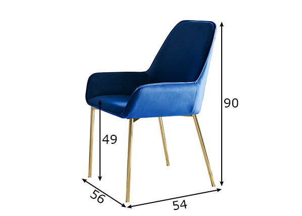 Valgomojo kėdžių komplektas, 2 vnt., Mėlyna цена и информация | Virtuvės ir valgomojo kėdės | pigu.lt